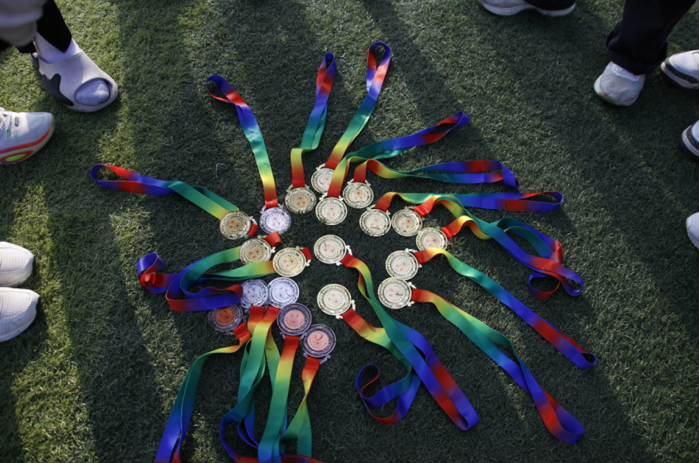 QQ截图20241118134856