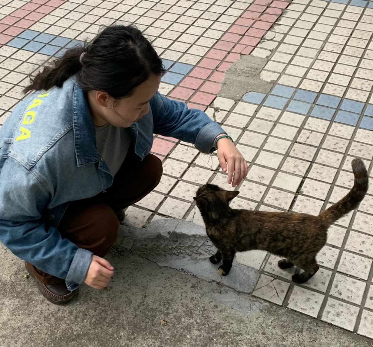 d55abd4a6d63189e9869e44d0f5a53b