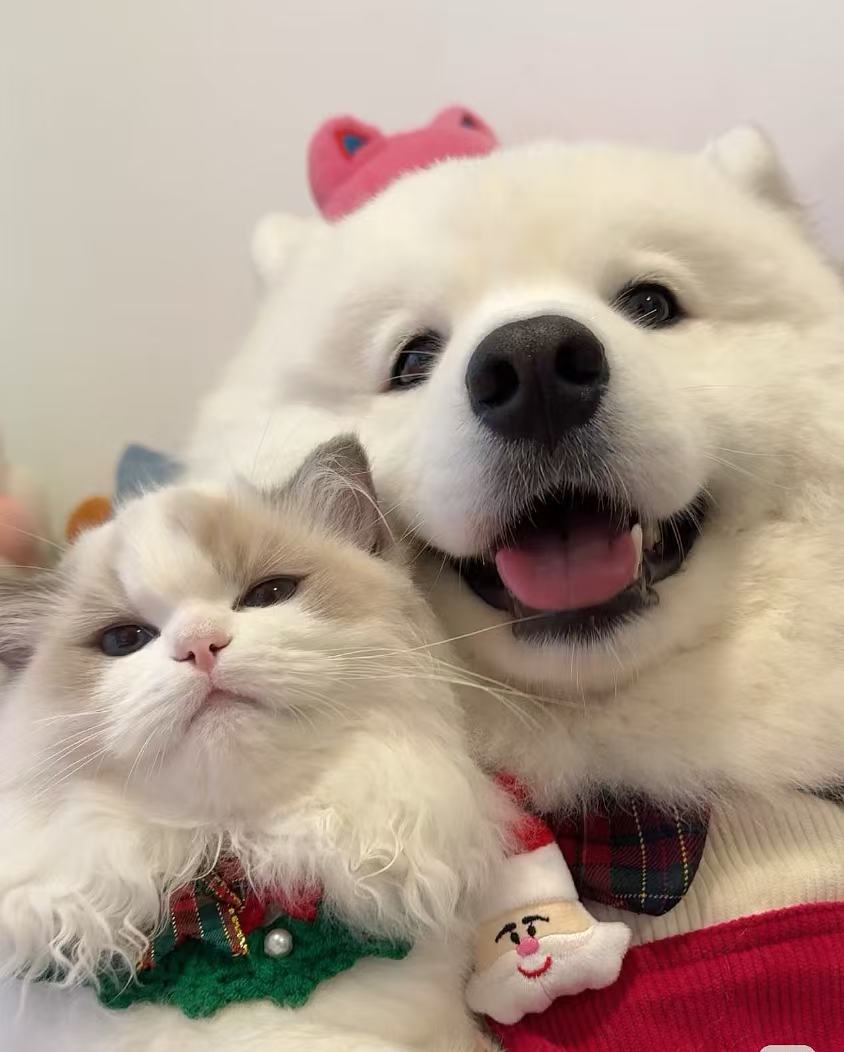 0112a60a36e96af530dbde7a7fafd32