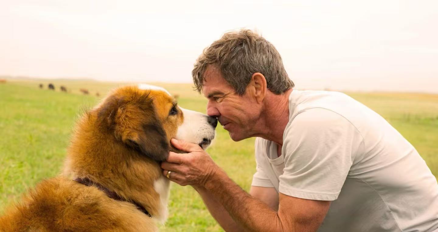 ca532b980b495b29d9a620a163bf851